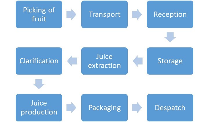Diagram show stages in a linear HACCP plan