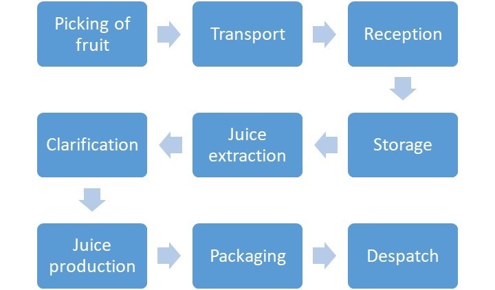 Example of a linear HACCP plan
